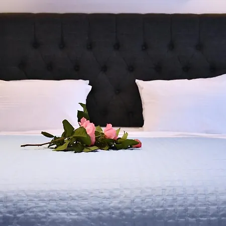 The Blue * 阿约伊阿波斯托洛伊